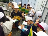 いちごの見学②