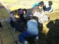 児童会（環境）