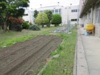 耕作前の畑