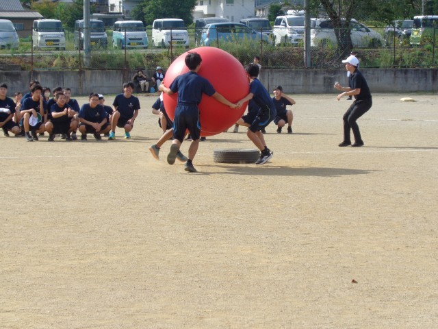 体育祭　大玉送り