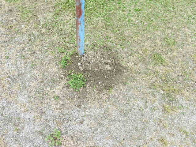 鉄棒の横の土②