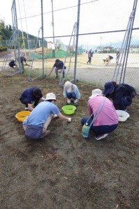 フェンス裏草取り